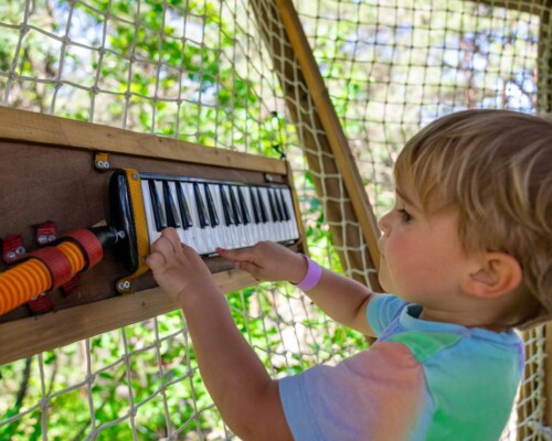 Bois des musiciens